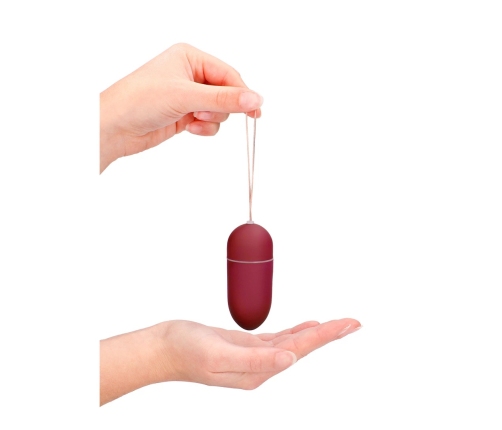 Vibrating Egg with 10 Speeds and Remote Control - L - Red