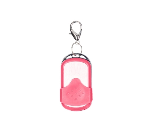 Vibrating Bullet with Remote Control