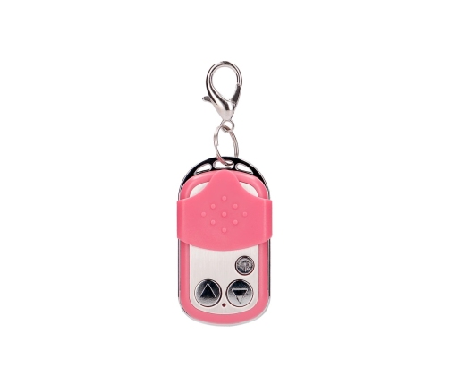 Vibrating Bullet with Remote Control