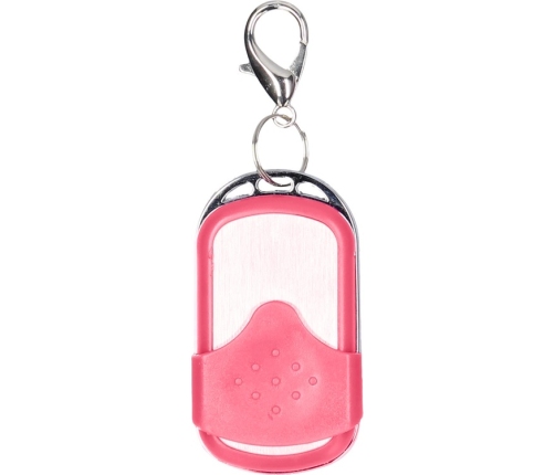Vibrating Bullet with Remote Control