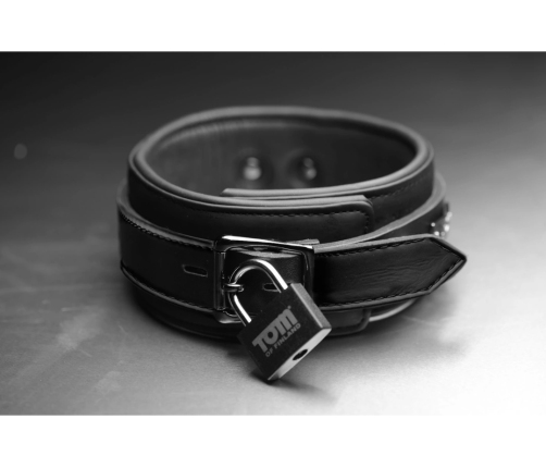 Neoprene Collar with Lock