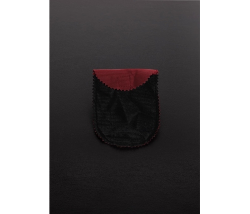 Collar with Combination Lock - Large