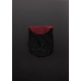 Collar with Combination Lock - Large