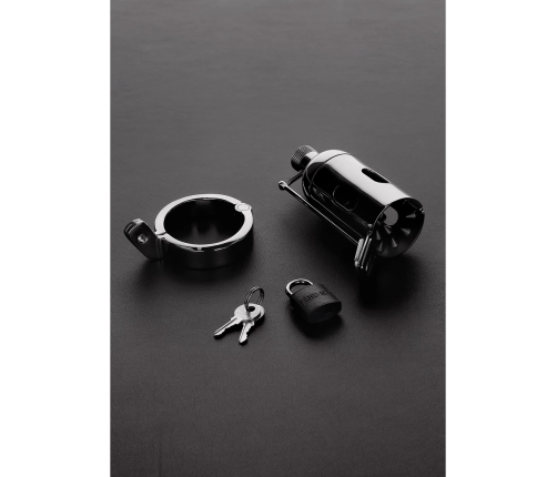 The Pleasure Dome Chastity Cage