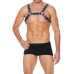 Z Series Chest Bulldog Harness - L/XL