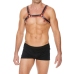 Z Series Chest Bulldog Harness - L/XL