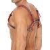 Z Series Chest Bulldog Harness - S/M